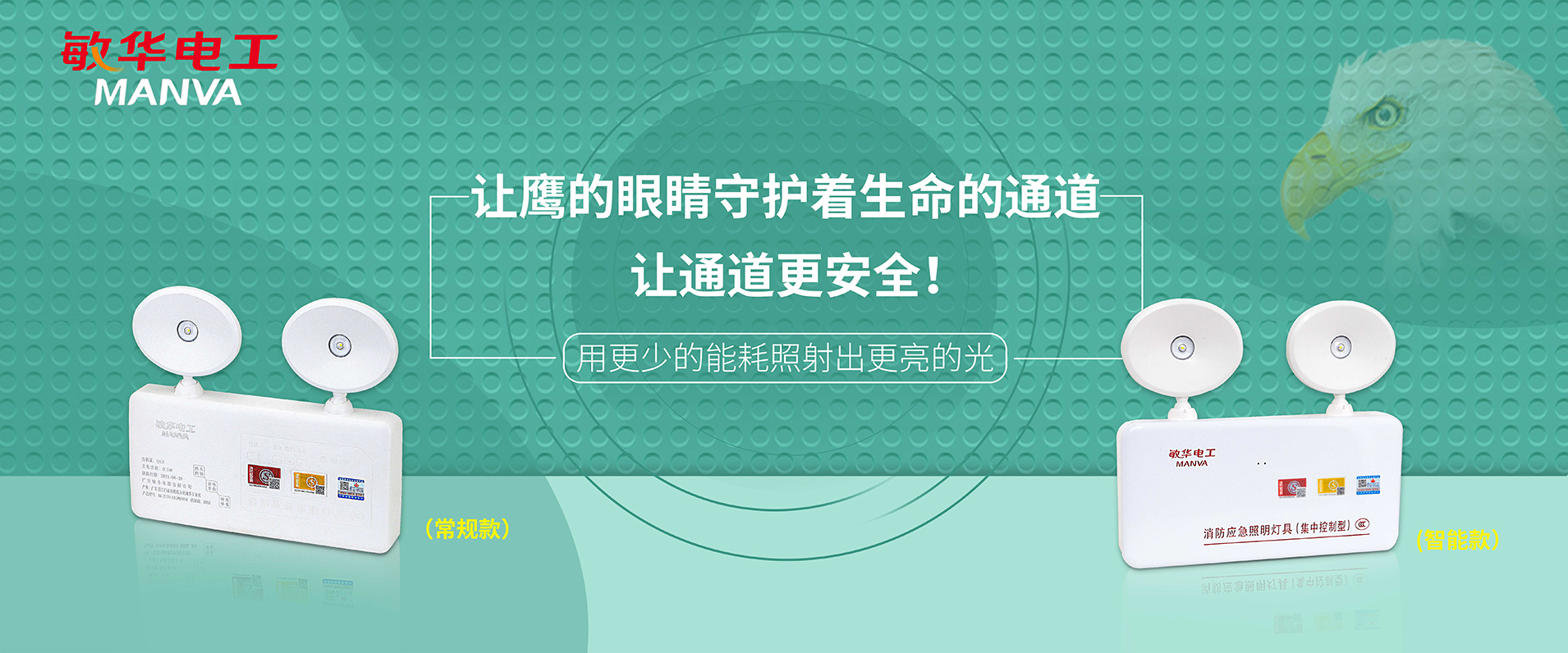 鷹的眼睛，守護生命通道