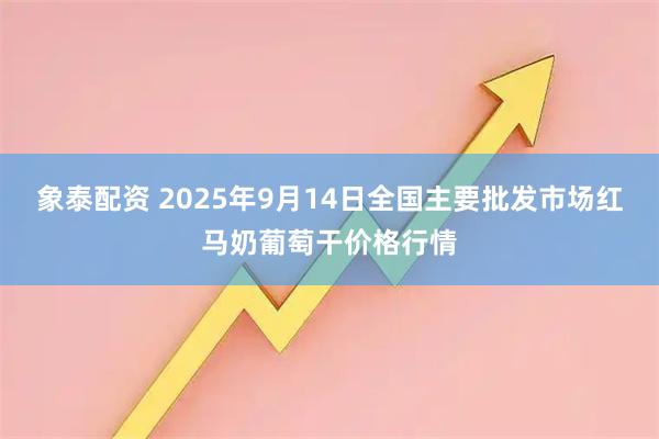象泰配资 2025年9月14日全国主要批发市场红马奶葡萄干价格行情