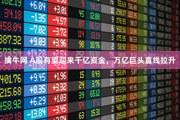 擒牛网 A股有望迎来千亿资金,万亿巨头直线拉升
